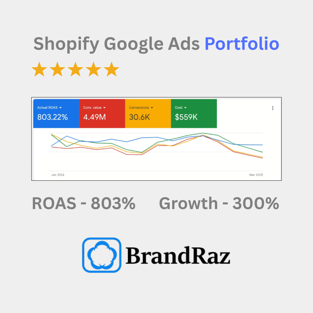 Shopify Google Ads Agency Portfolio