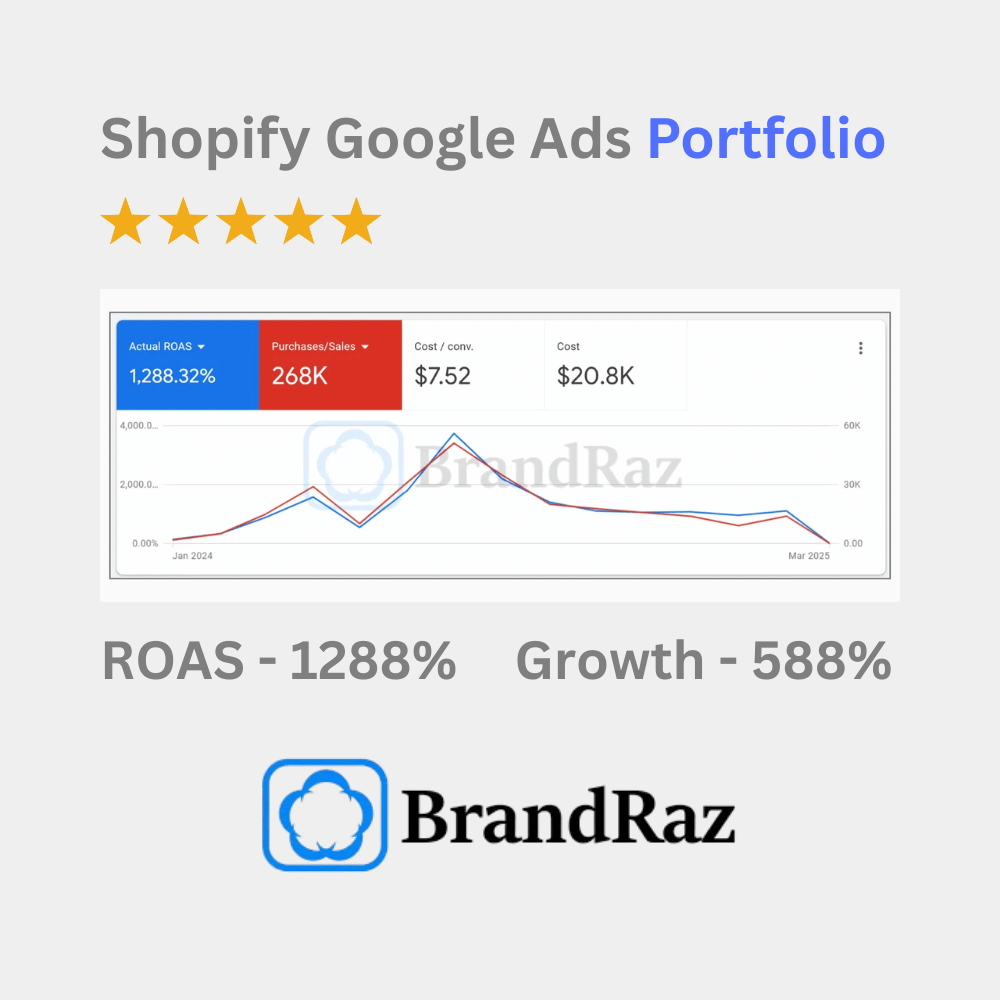 Shopify Google Ads Portfolio