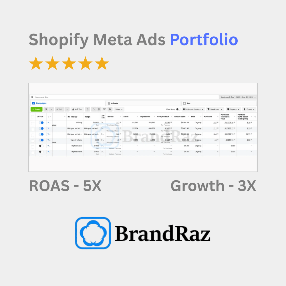 Shopify Meta Ads Agency Portfolio